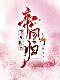 无限试驾2